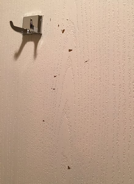 Wingate By Wyndham Los Alamos主图