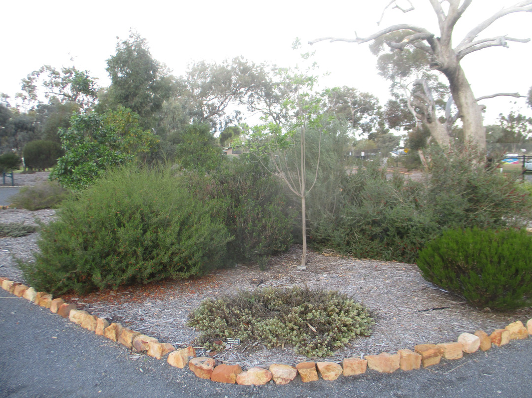 Horsham Botanical Gardens-霍舌姆必去景点