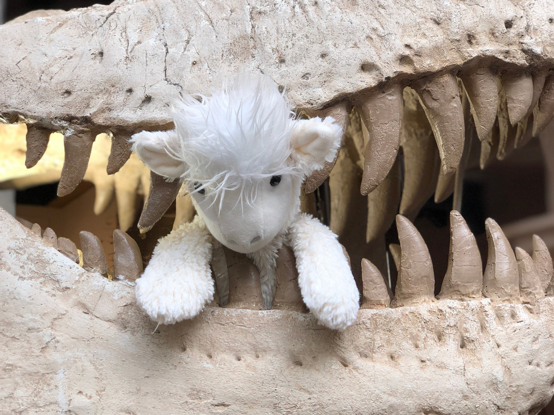 Tlaquepaque Arts & Shopping Village-塞多纳必去景点