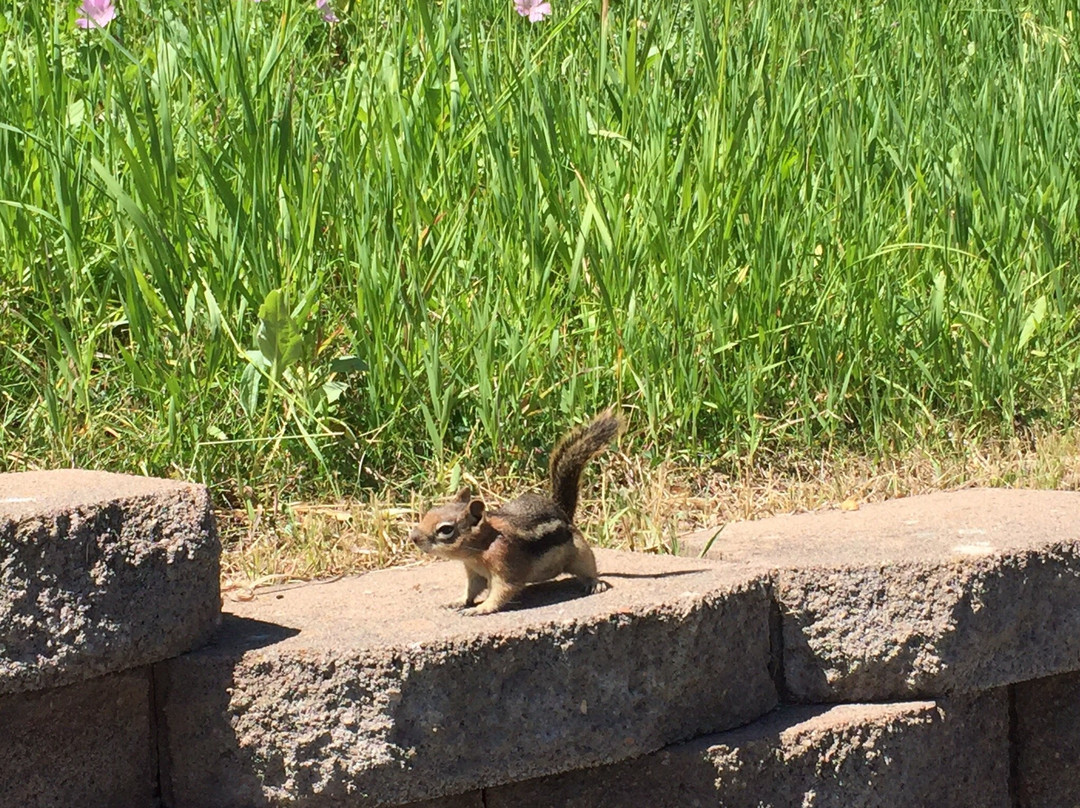 Eagle Vail Golf Club景点图片