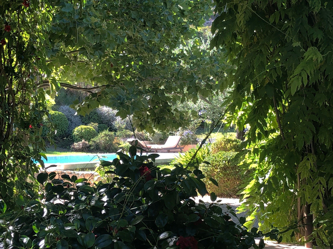 Mas des Pascaux主图