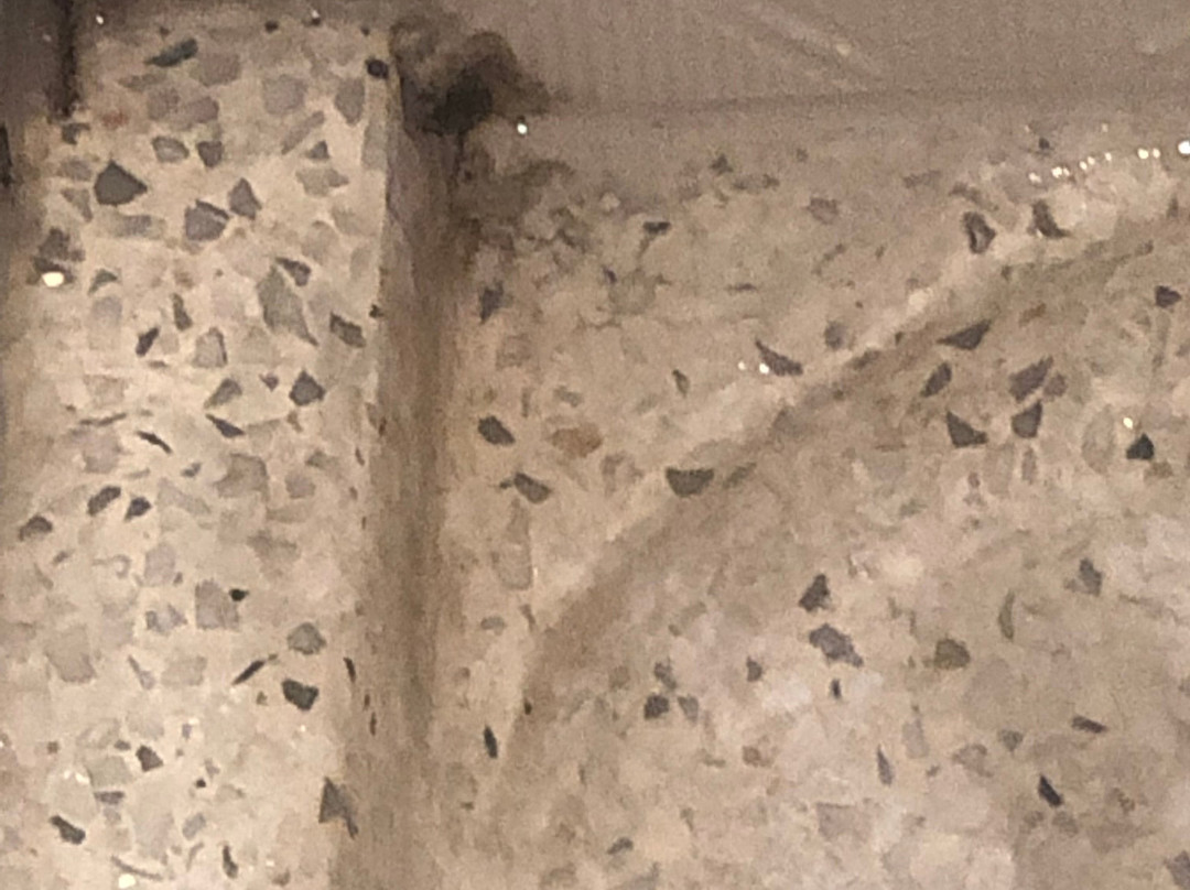 Hotel Indigo Naperville Riverwalk by IHG主图