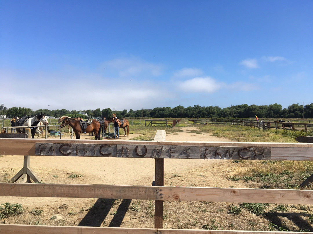 Pacific Dunes Ranch Riding Stables景点图片