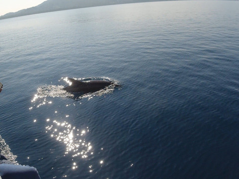 美娜多之旅酒店主图