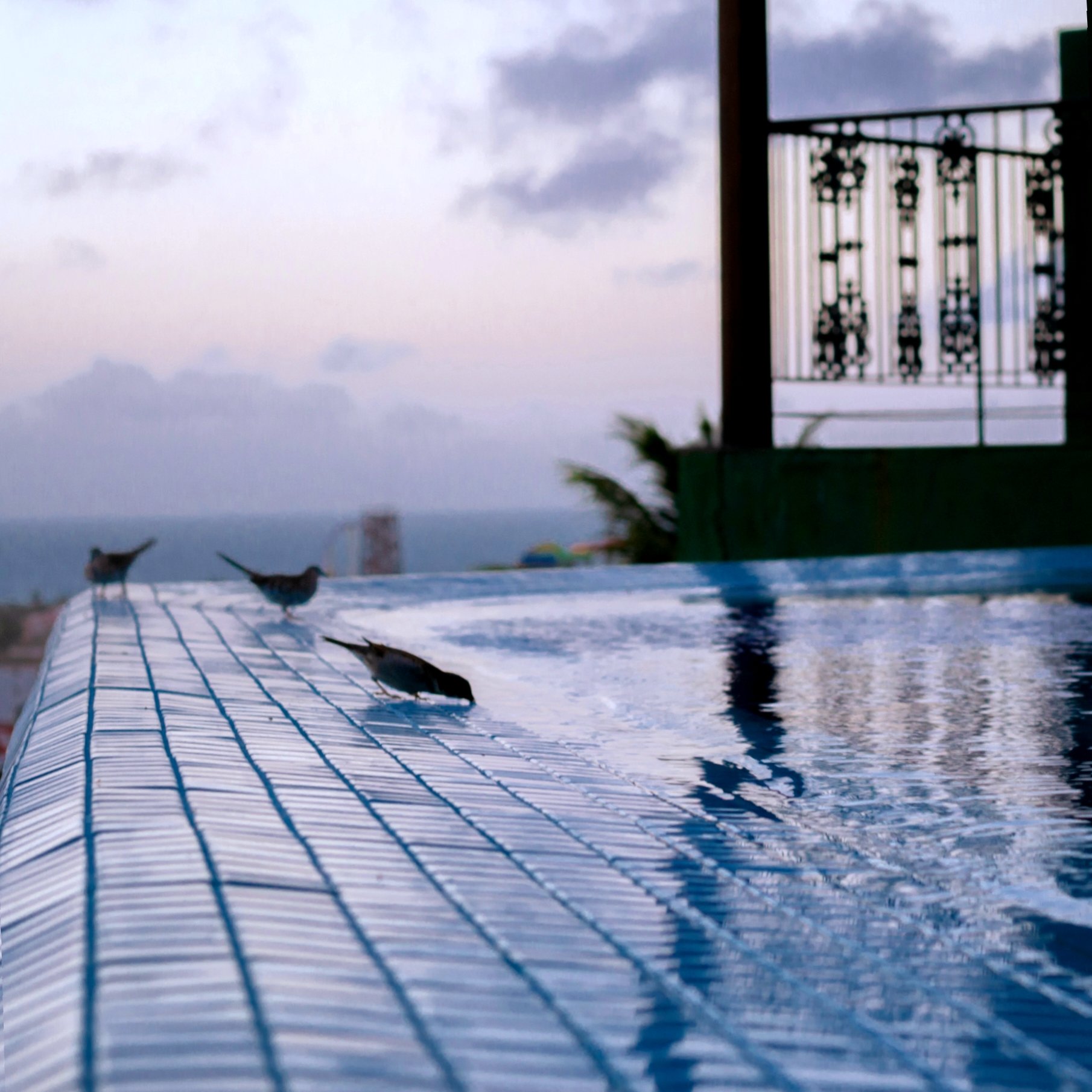 Hotel Santuário das Águias-官方