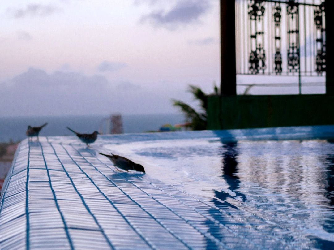 Aquiraz酒店住宿-Hotel Santuário das Águias