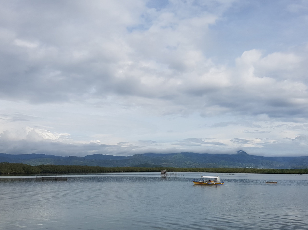 Dolphin Watching, Manjuyod Sandbar and Sportfishing Adventures in Bais Bay-拜斯市必去景点