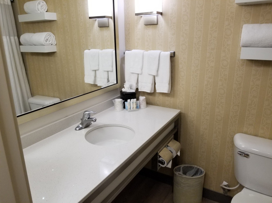 西雅图/兰顿希尔顿花园酒店主图