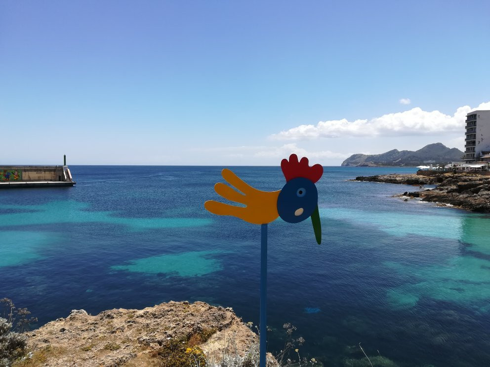 Speedboat Cala Ratjada-Cala Ratjada必去景点