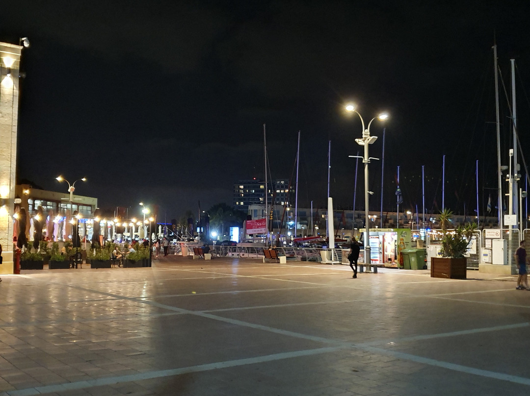 Arena Mall-荷兹利亚必去景点