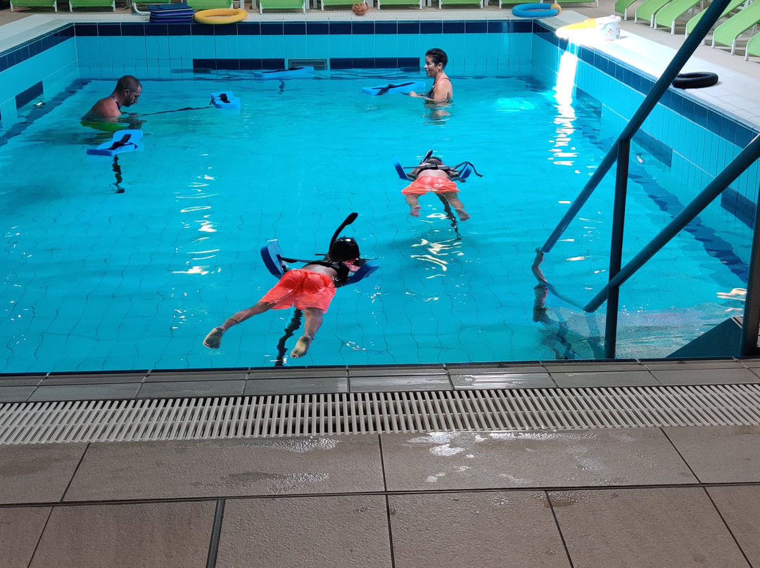 Sonnentherme Lutzmannsburg景点图片