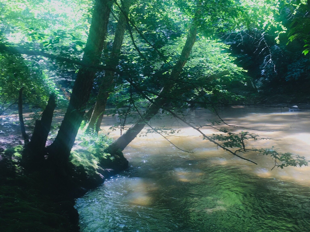 Croft State Park景点图片