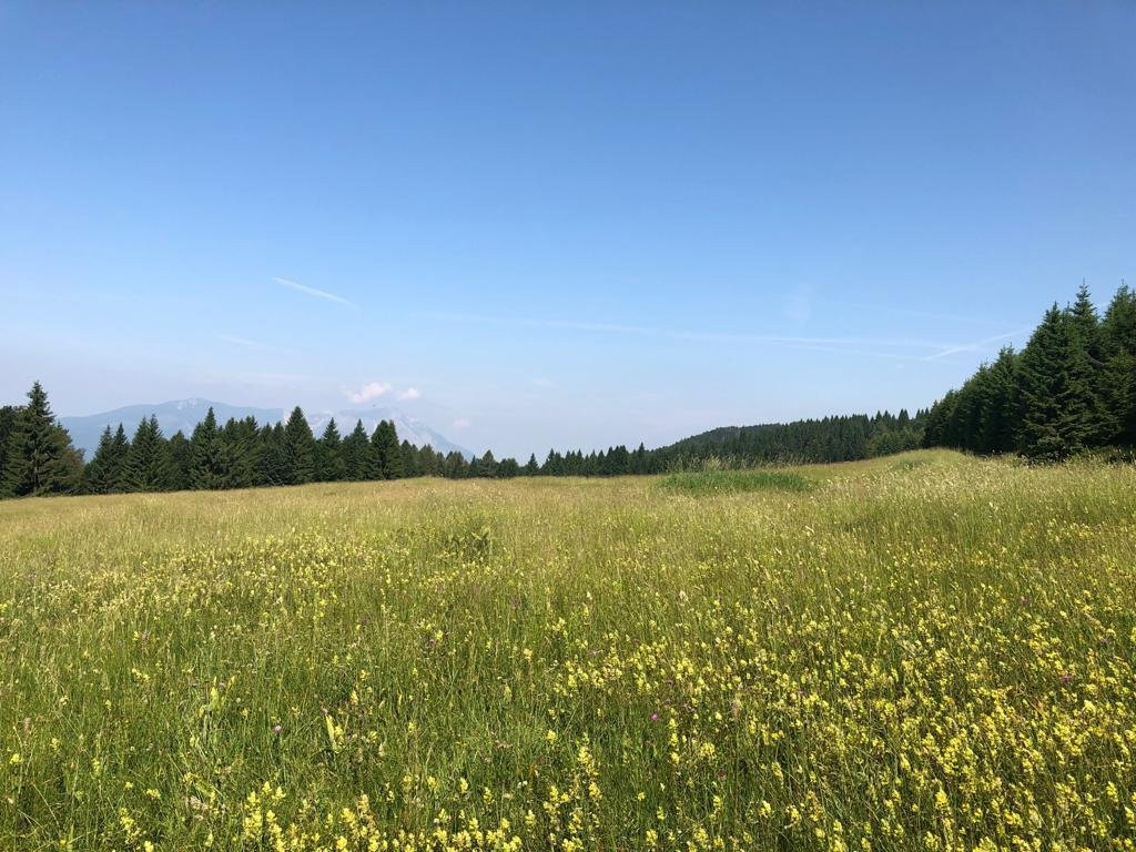 Residence Alaska主图