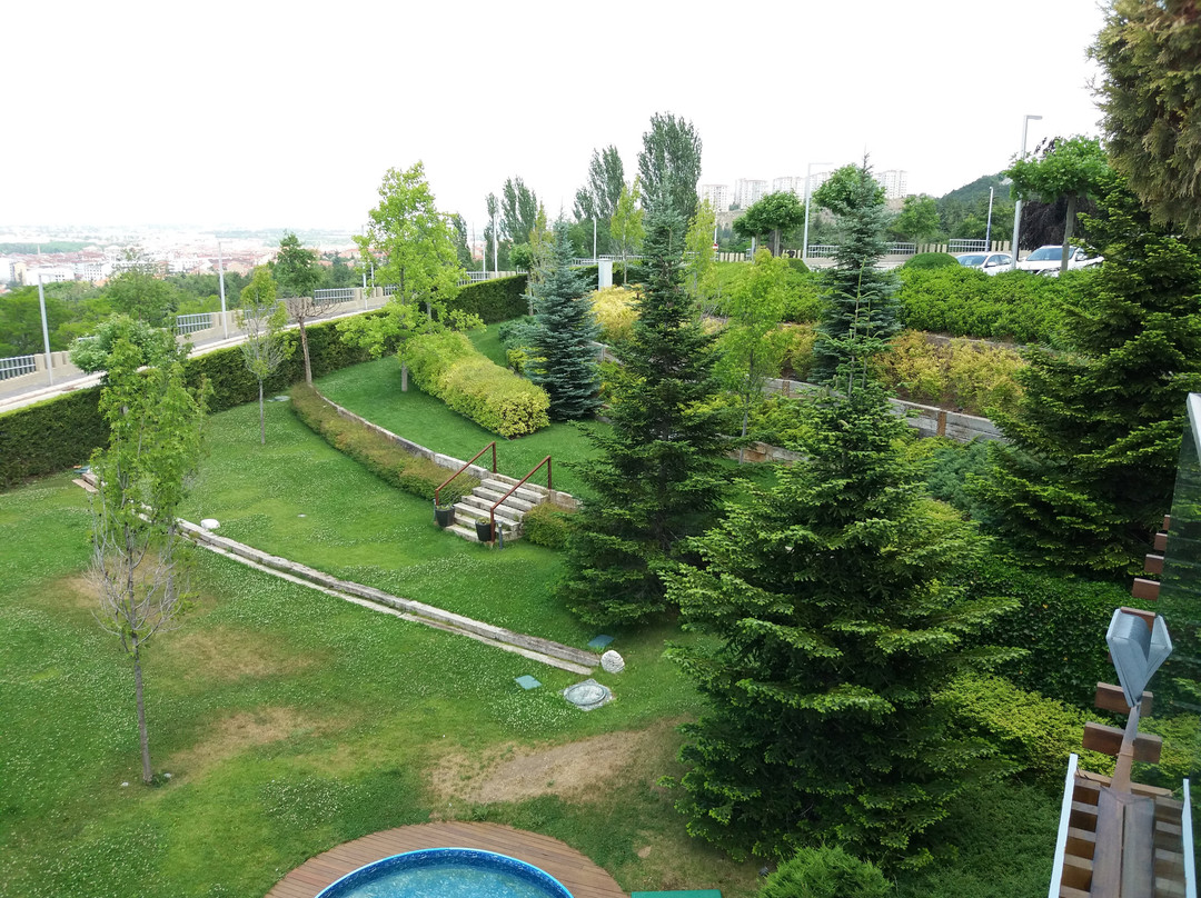 Tasigo Eskisehir主图