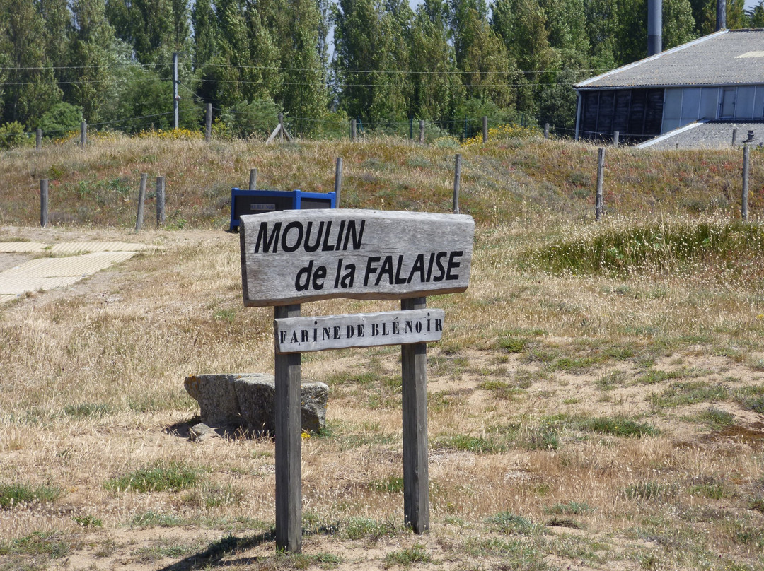 Moulin de la Falaise景点图片