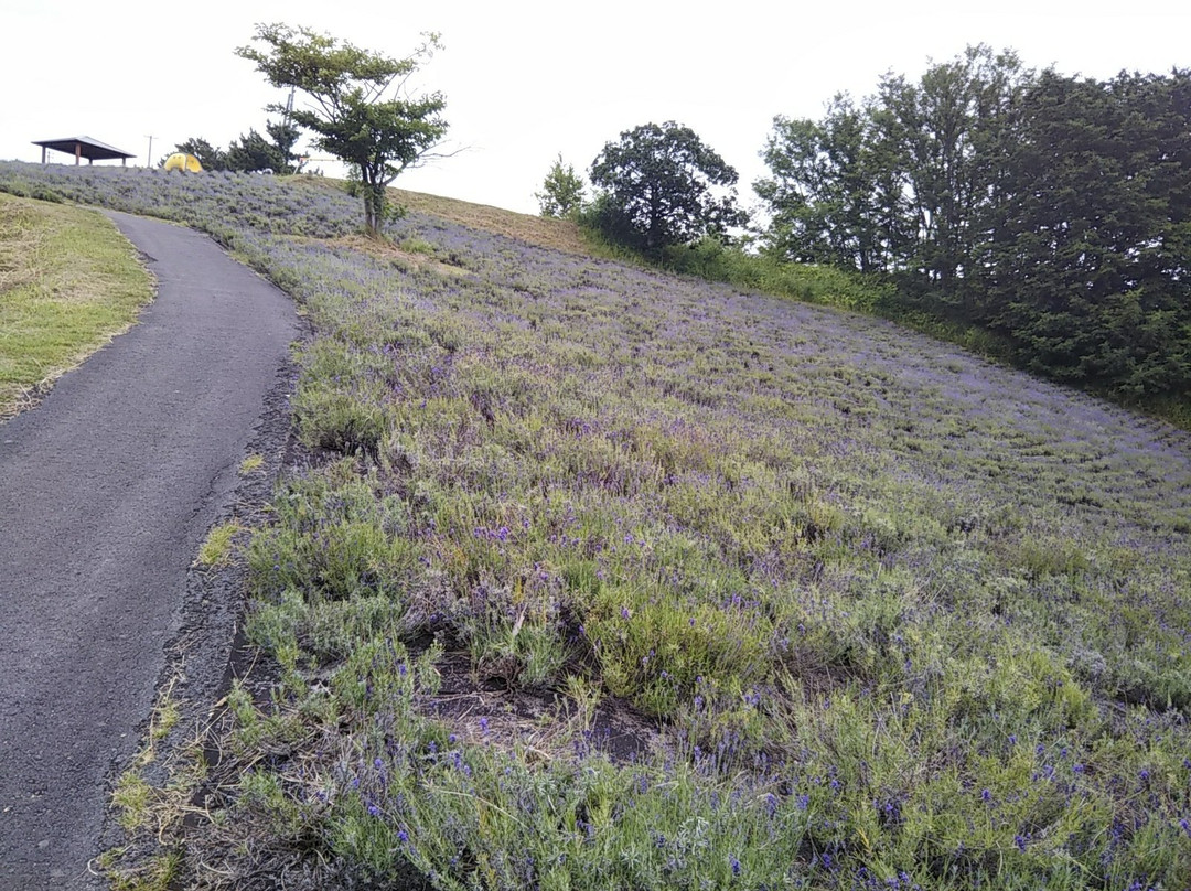 Michi-no-Eki Namioka Apple Hill-青森市必去景点
