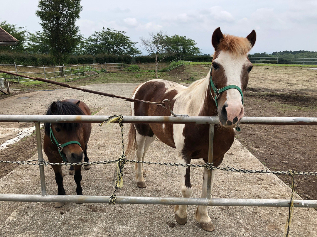Rakunoh Mother's Aso Milk Bokujo-西原町必去景点