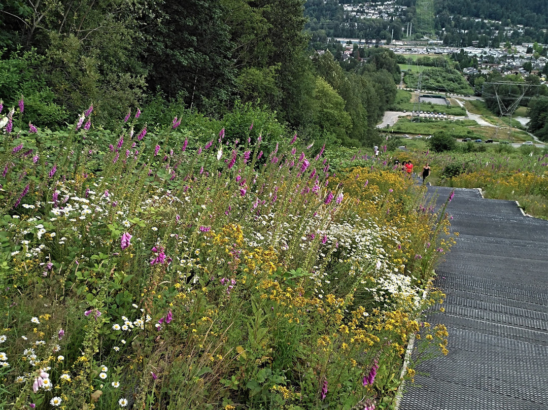 Coquitlam Crunch Trail景点图片
