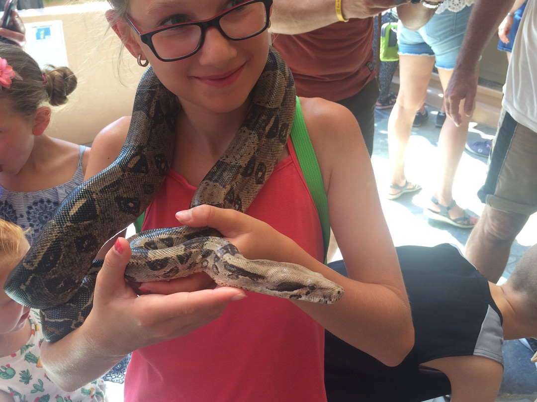 Aquaworld Aquarium & Reptile Rescue Centre-赫索尼索斯必去景点