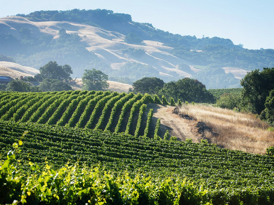 Sojourn Cellars-索诺玛必去景点