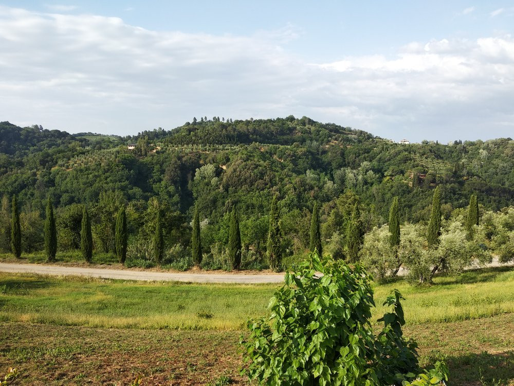 Agriturismo Colleoli主图