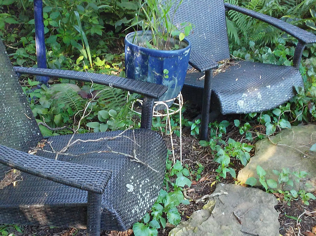 Ashley-Drake Historic Inn and Gardens主图