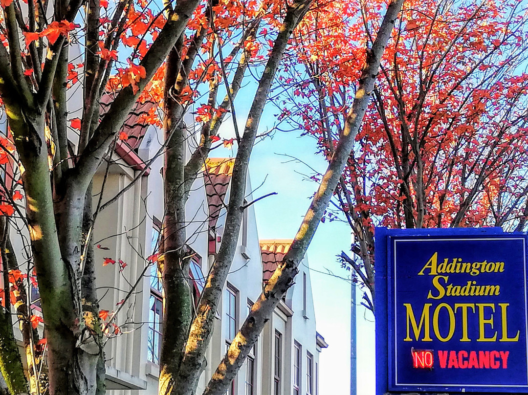 Addington Stadium Motel主图