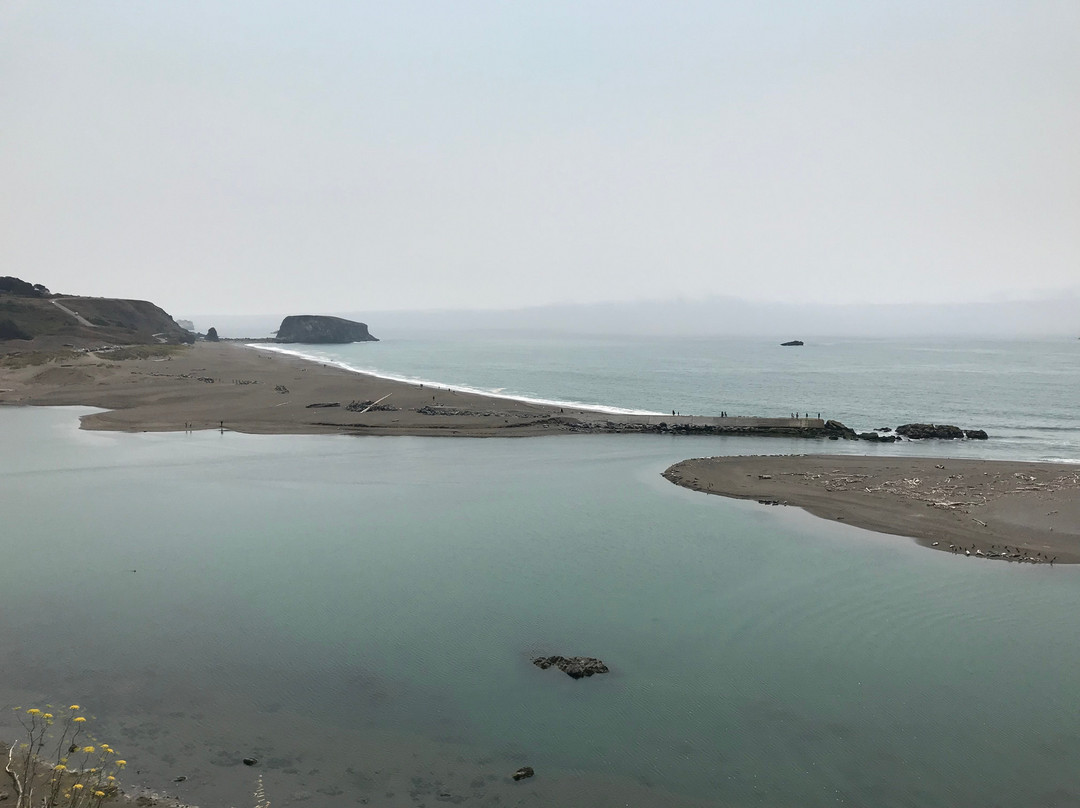 Harbor Seal Nursery景点图片