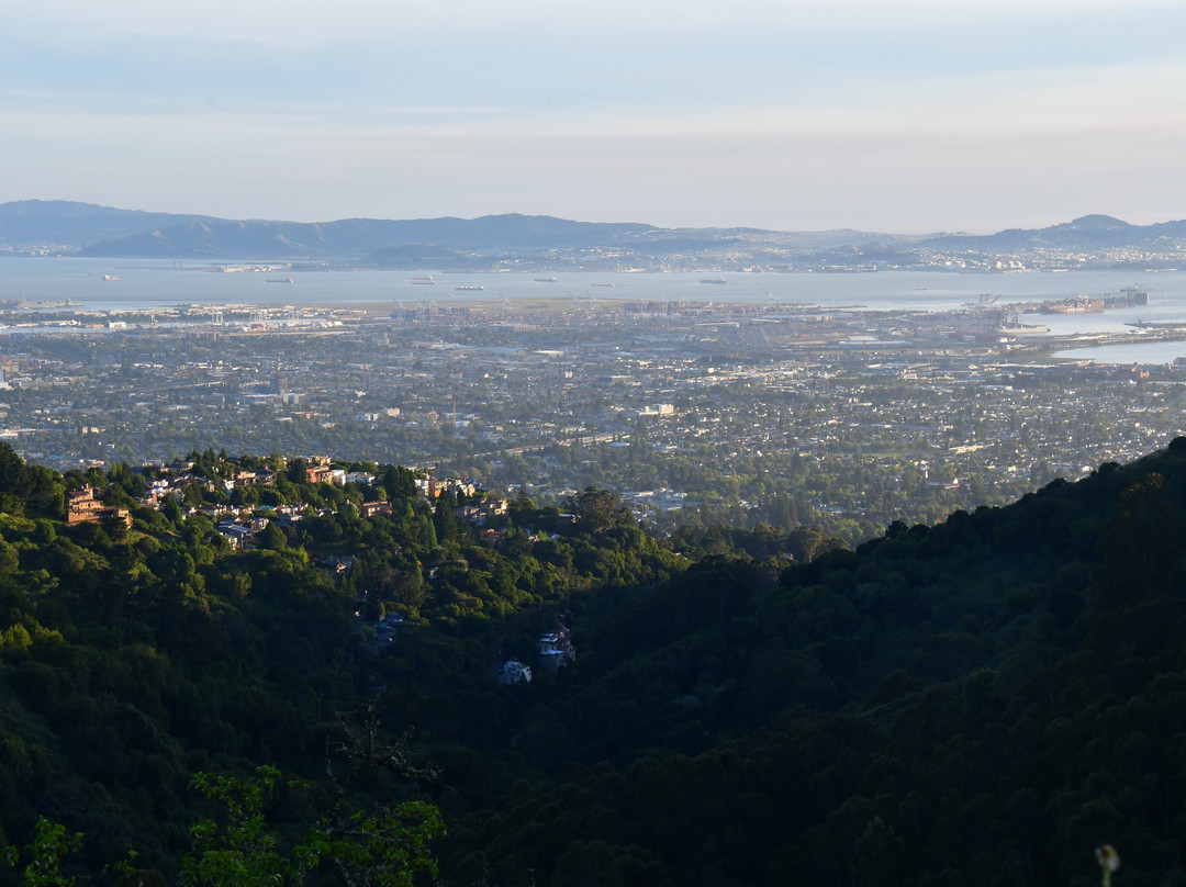 Grizzly Peak-伯克利必去景点