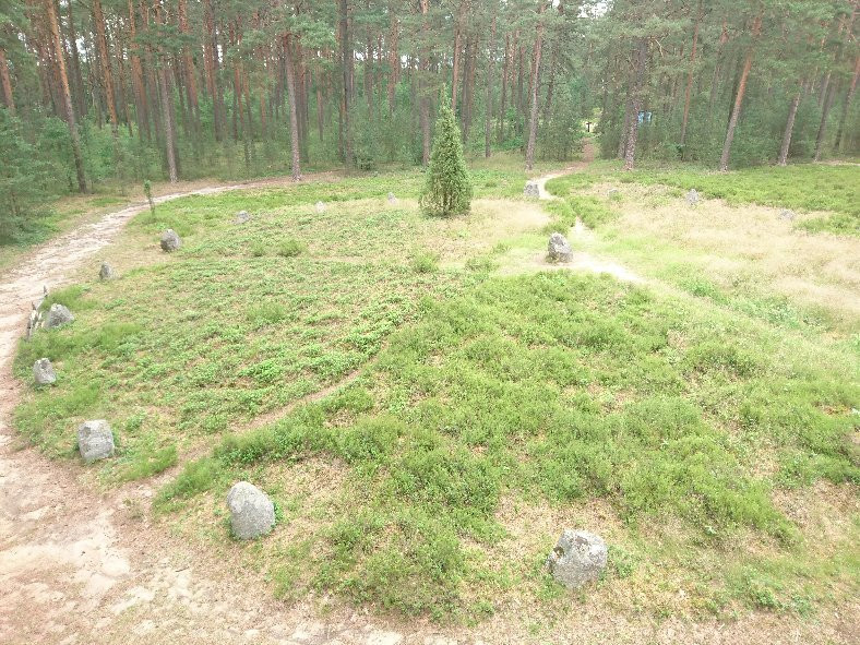 Rezerwat przyrody Kręgi Kamienne景点图片