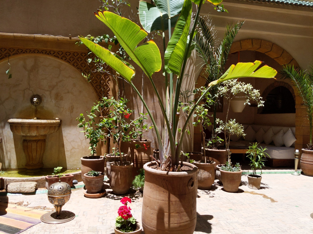 里亚德康巴莱特酒店主图