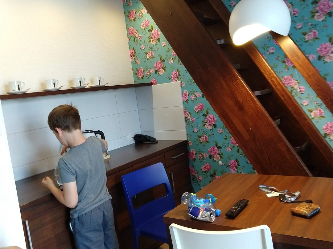 Aparthotel Flinski Sport & Spa主图