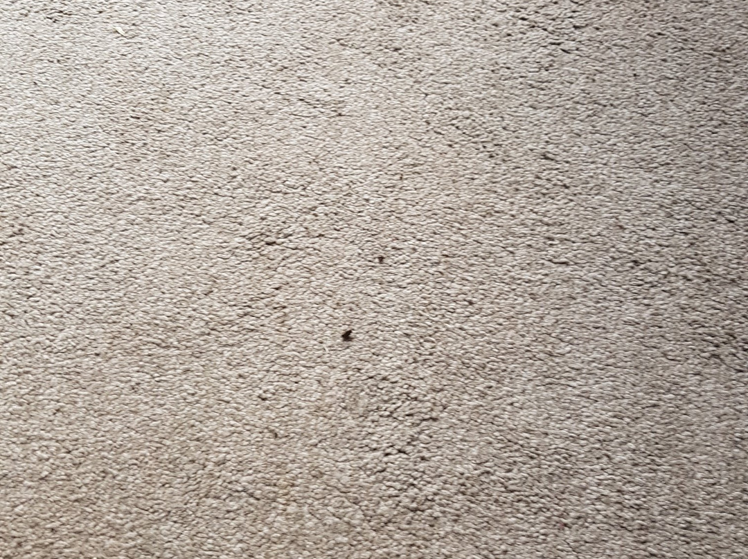 Takapuna International Motor Lodge主图