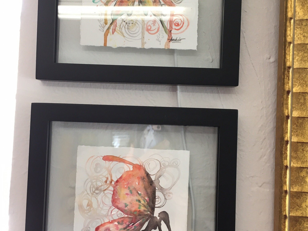 DAAS CO-OP Art Gallery & Gifts-迈尔斯堡必去景点