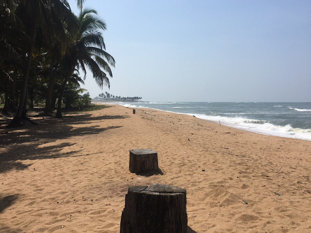 Afiki Beach House主图