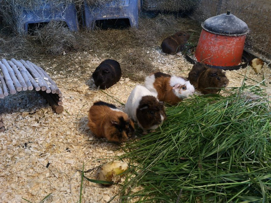 Holar Farm-布扎达吕尔必去景点