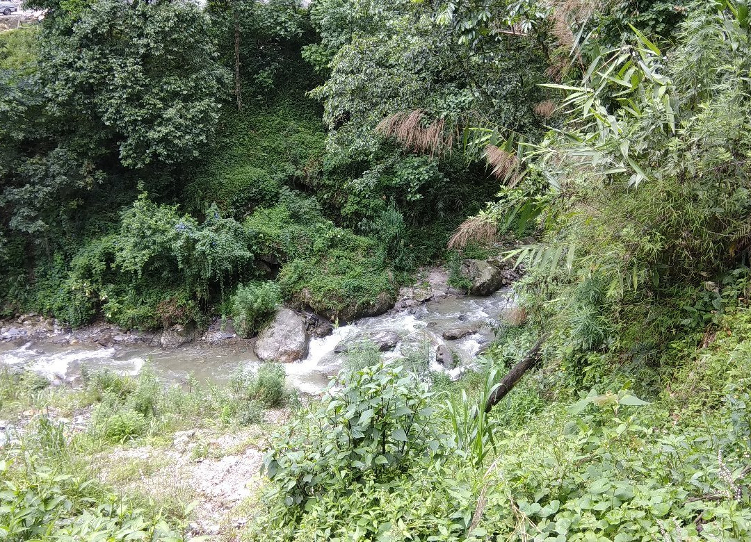 Banjhakri Water Falls景点图片