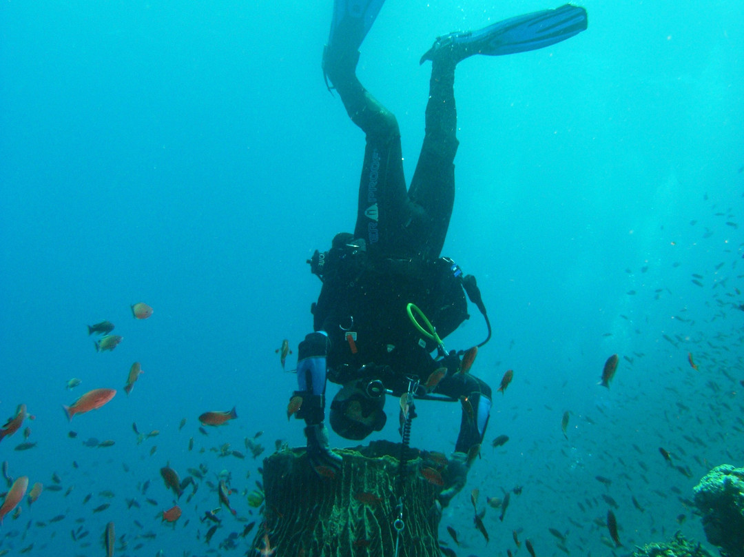 Diving Puerto Galera-葡多咖蕾拉必去景点