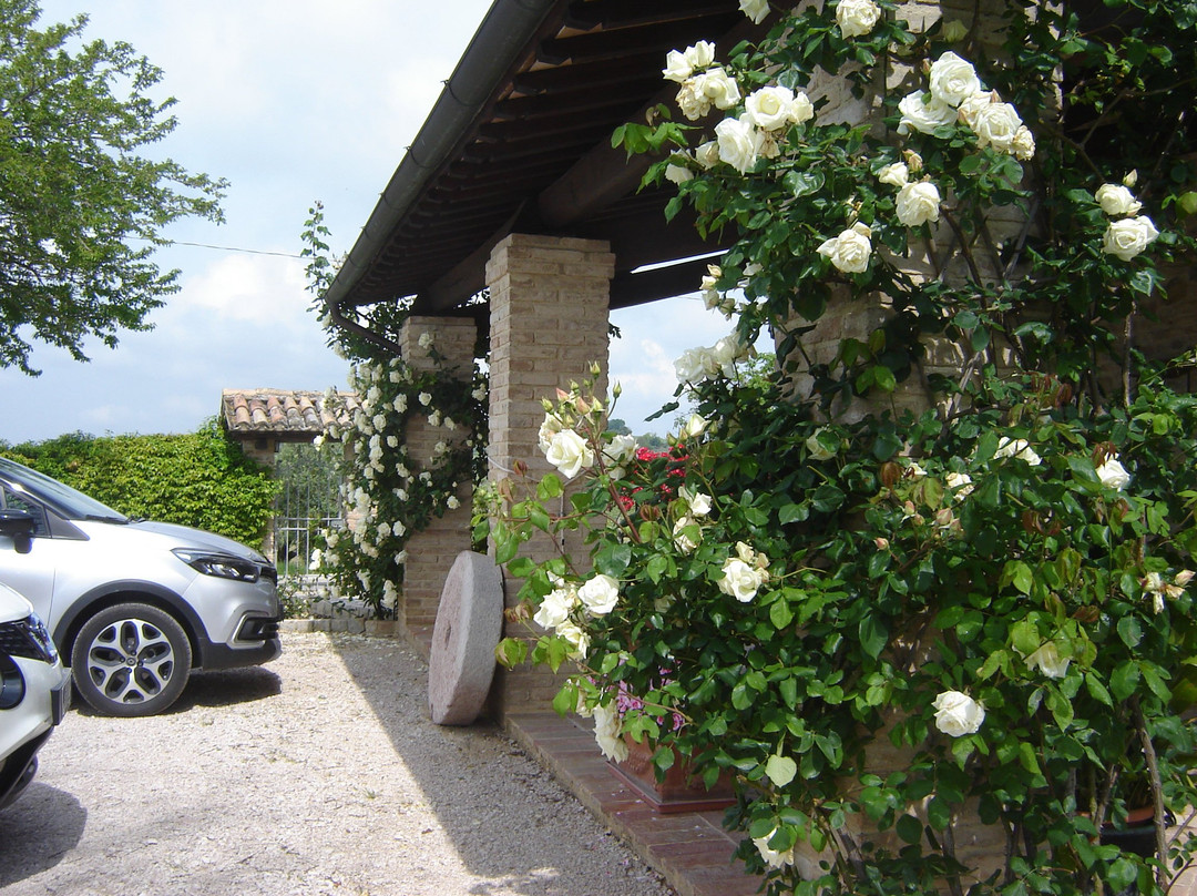 B&B Casa Laura主图