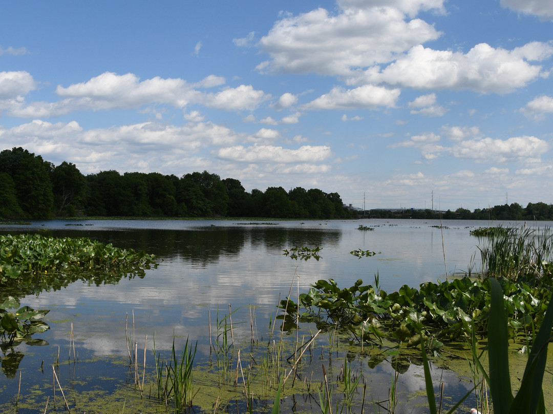 John Heinz National Wildlife Refuge at Tinicum景点图片