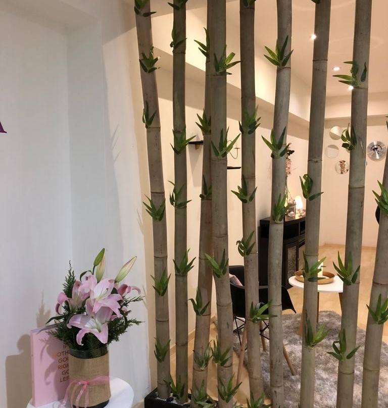 Inspiración Spa-墨西哥城必去景点