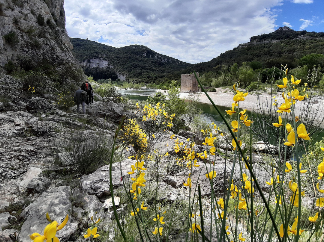 Gorges du Gardon-Collias必去景点