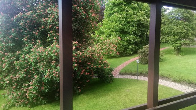 Ferienhotel Stockhausen-酒店景观