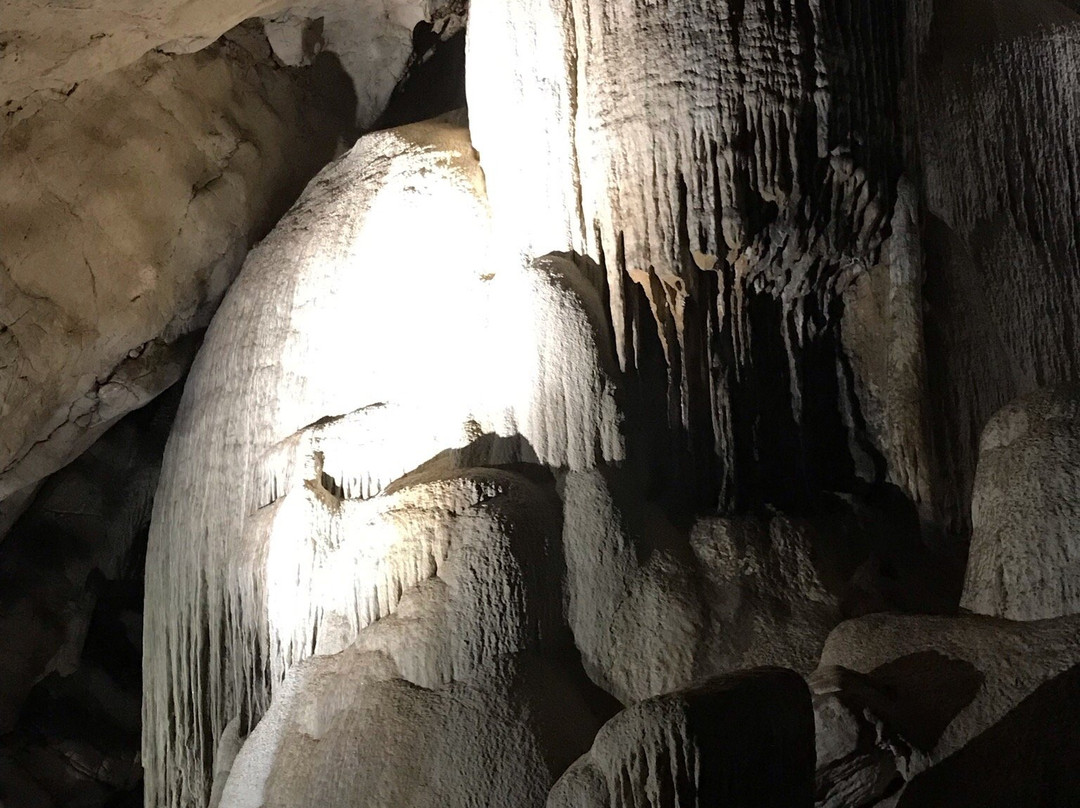 Wellington Caves & Phosphate Mine景点图片