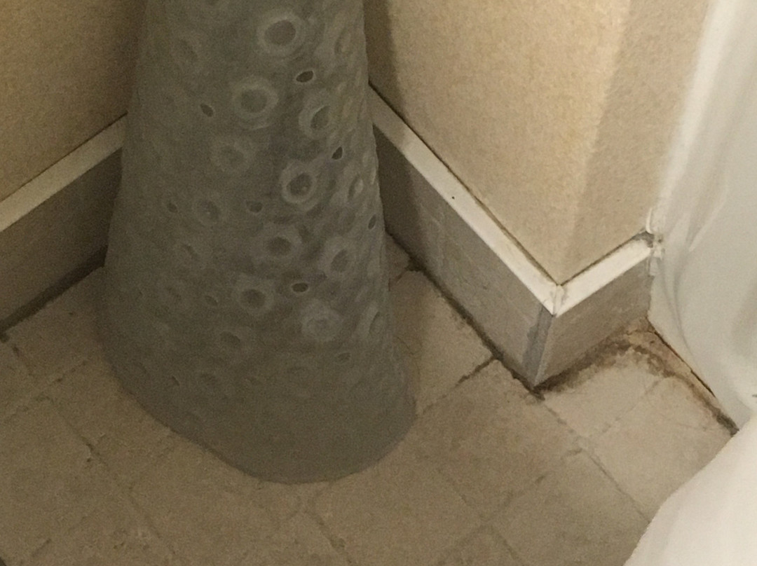 Super 8 by Wyndham Cornwall ON主图