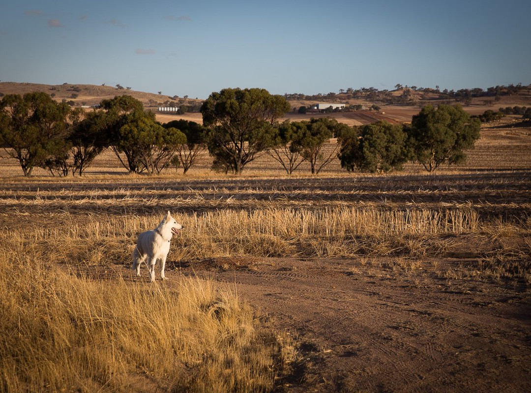 Hillside Country Retreat主图