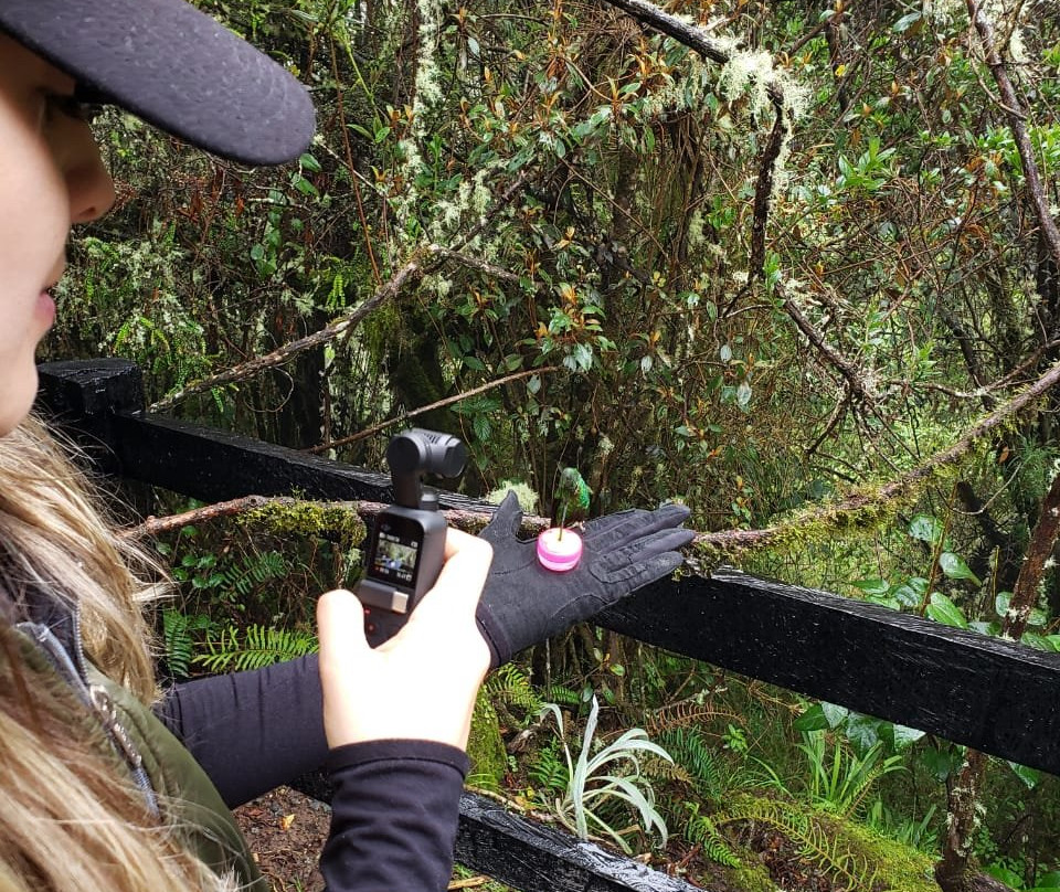 Hotel Termales Del Ruiz主图