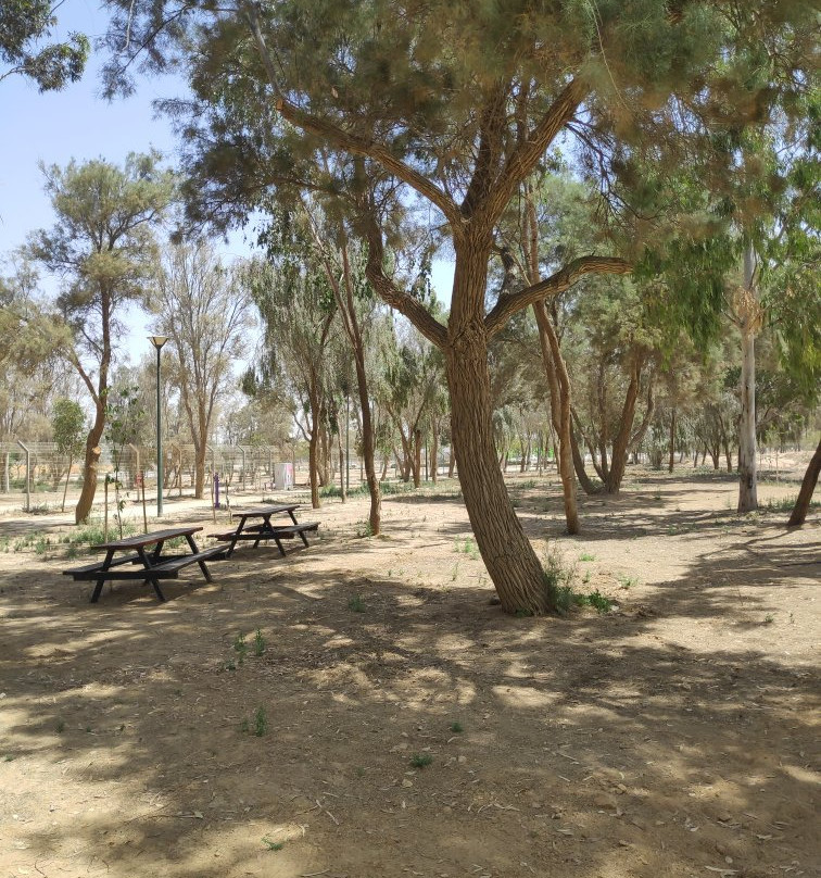 Mitzpe Beit Eshel-贝尔谢巴必去景点