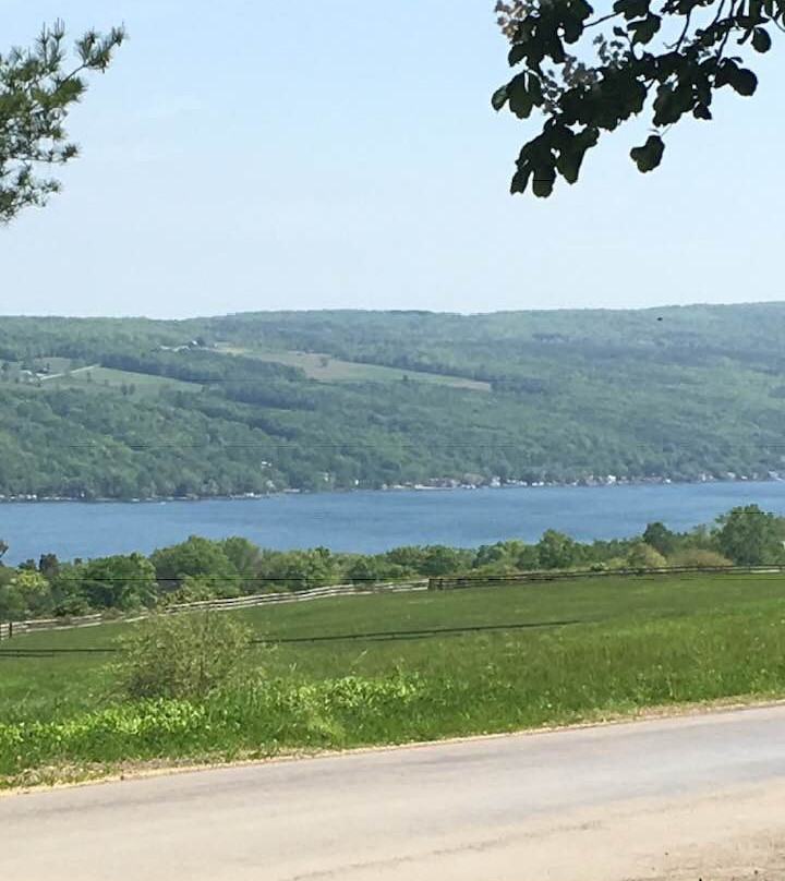 Blushing Rose Bed and Breakfast主图