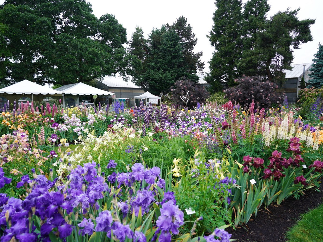 Schreiner's Iris Gardens-塞勒姆必去景点
